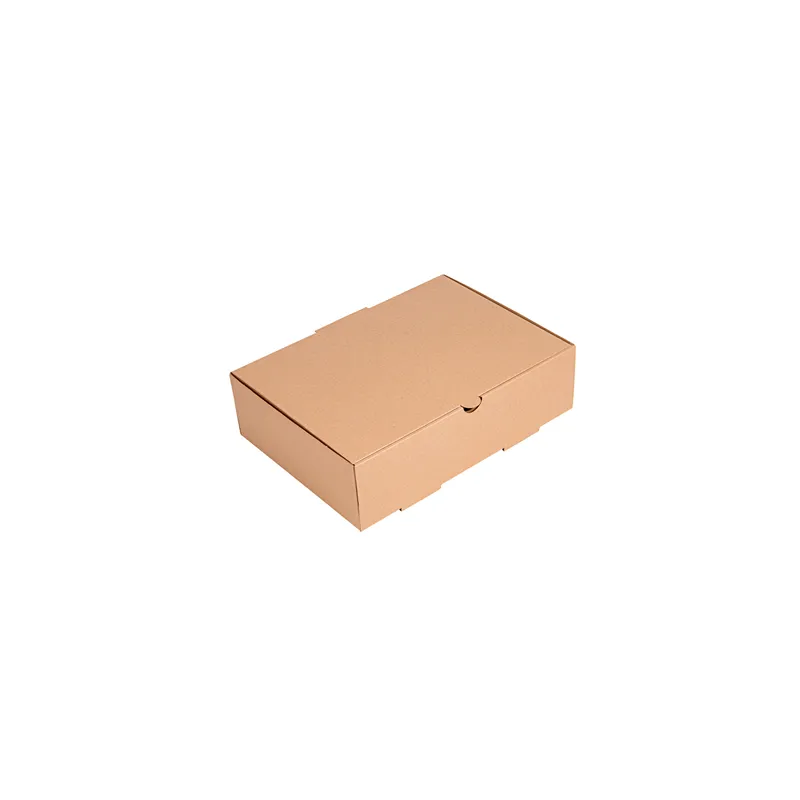 BOÎTE REPAS À EMPORTER THEPACK  26x18x7 CM NATUREL CARTON MICROCANAL (100 UNITÉ)