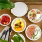 BOLS BIONIC 950 ML Ø 19,6x6,5 CM BLANC BAGASSE (400 UNITÉ) BOLS