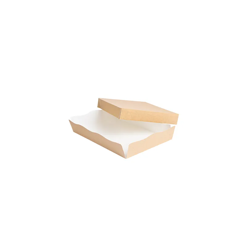 PLATEAUX + COUVERCLE THEPACK  23x17x4,5 CM NATUREL CARTON NANO-MICRO (200 UNITÉ)