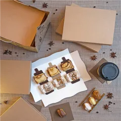 PLATEAUX + COUVERCLE