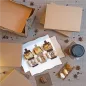 PLATEAUX + COUVERCLE