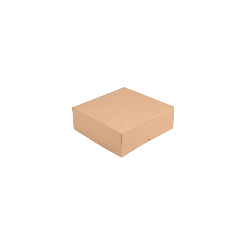 BOÎTES PATISSERIES SANS FENÊTRE THEPACK 28x28x10 CM NATUREL CARTON NANO-MICRO (100 UNITÉ) BOÎTES PATISSERIES SANS FENÊTRE THEPACK 28x28x10 CM NATUREL CARTON NANO-MICRO (100 UNITÉ)