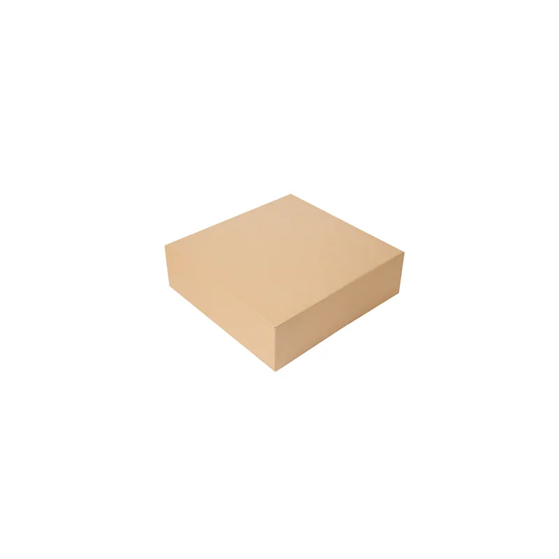BOÎTES PATISSERIES SANS FENÊTRE THEPACK 32x32x10 CM NATUREL CARTON NANO-MICRO (100 UNITÉ) BOÎTES PATISSERIES SANS FENÊTRE THEPACK 32x32x10 CM NATUREL CARTON NANO-MICRO (100 UNITÉ)