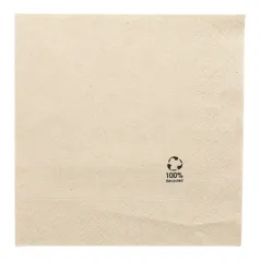 SERVIETTES ECOLABEL 2 PLIS