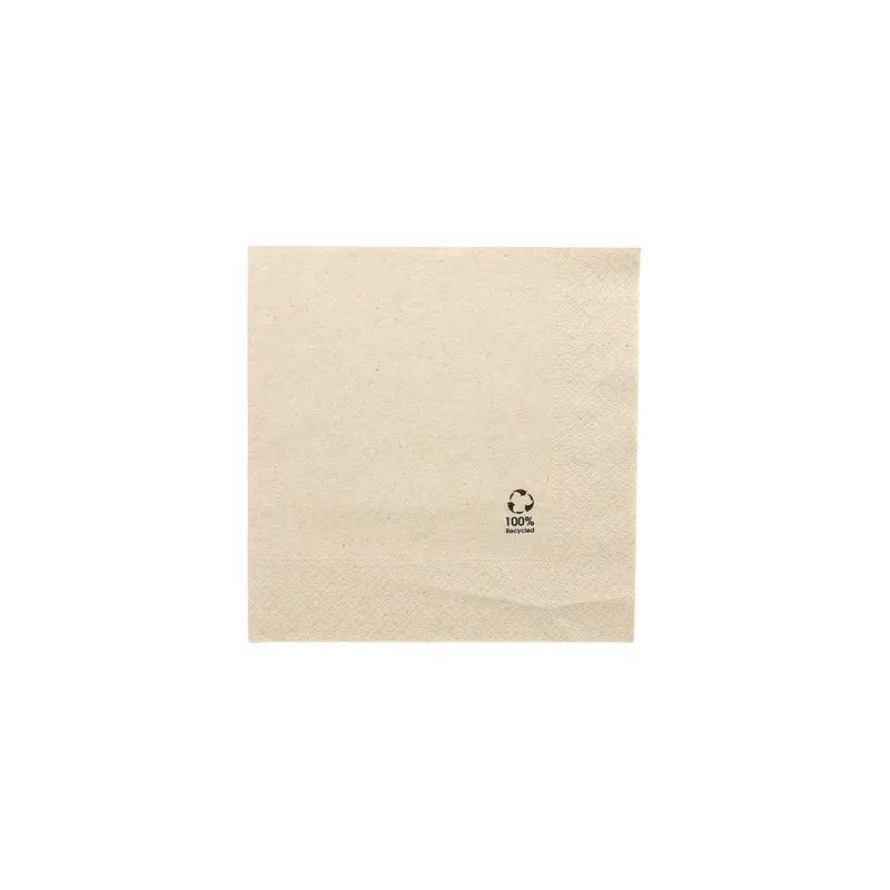 SERVIETTES ECOLABEL 2 PLIS FEEL GREEN 'PAPER PACK' 18 G/M2 33x33 CM NATUREL OUATE RECYCLÉE (2400 UNITÉ)