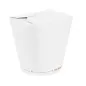 RÉCIPIENTS MULTIUSAGES FEEL GREEN 'COMPOSTABLE' 780 ML 300 G/M2 Ø9x9 CM BLANC CARTON (450 UNITÉ) RÉCIPIENTS MULTIUSAGES
