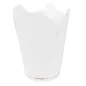 RÉCIPIENTS MULTIUSAGES FEEL GREEN 'COMPOSTABLE' 780 ML 300 G/M2 Ø9x9 CM BLANC CARTON (450 UNITÉ) RÉCIPIENTS MULTIUSAGES