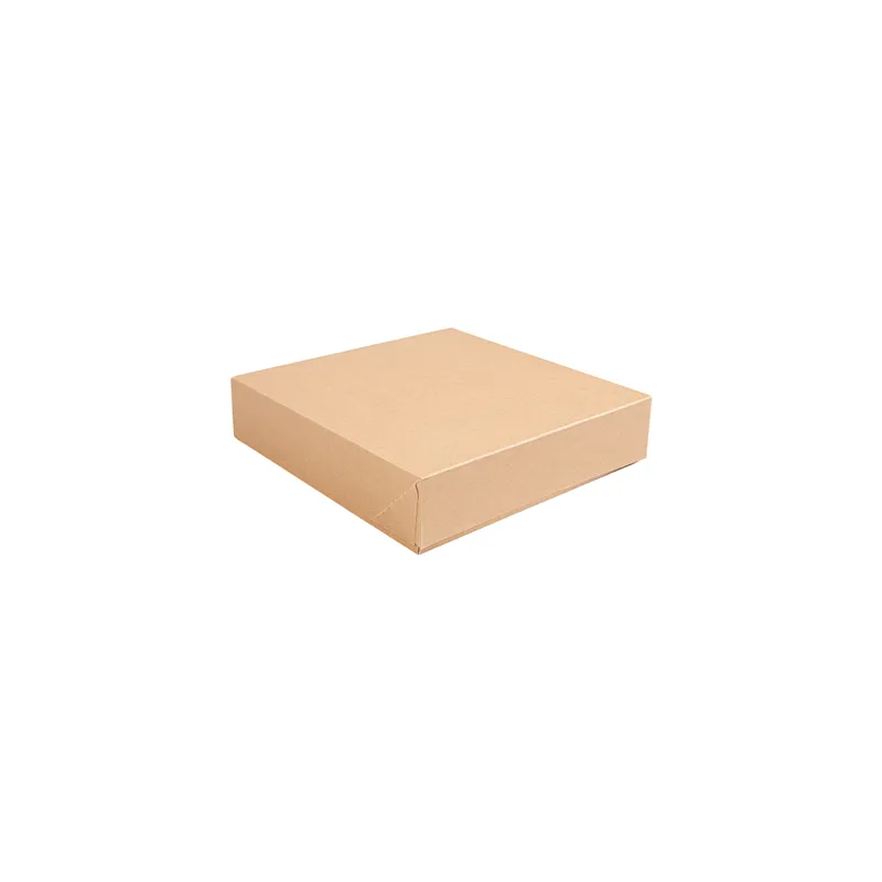 BOÎTES MULTI-USAGES THEPACK  23x23x5 CM MARRON CARTON NANO-MICRO (300 UNITÉ)