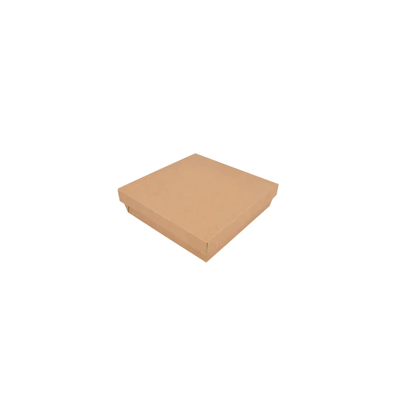 PETITES BOÎTES+COUVERCLES THEPACK 1000 ML 18,5x18,5x4 CM NATUREL CARTON NANO-MICRO + PP (200 UNITÉ)