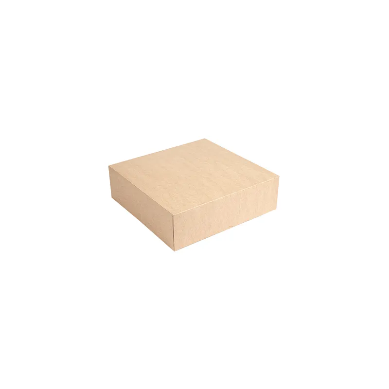 BOÎTES PATISSERIES SANS FENÊTRE THEPACK 26x26x8 CM NATUREL CARTON NANO-MICRO (100 UNITÉ) BOÎTES PATISSERIES SANS FENÊTRE THEPACK 26x26x8 CM NATUREL CARTON NANO-MICRO (100 UNITÉ)