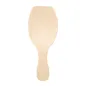 CUILLÈRES À GLACES EN SACHET WOOD 6,6 CM NATUREL BOIS (100 UNITÉ) CUILLÈRES À GLACES EN SACHET