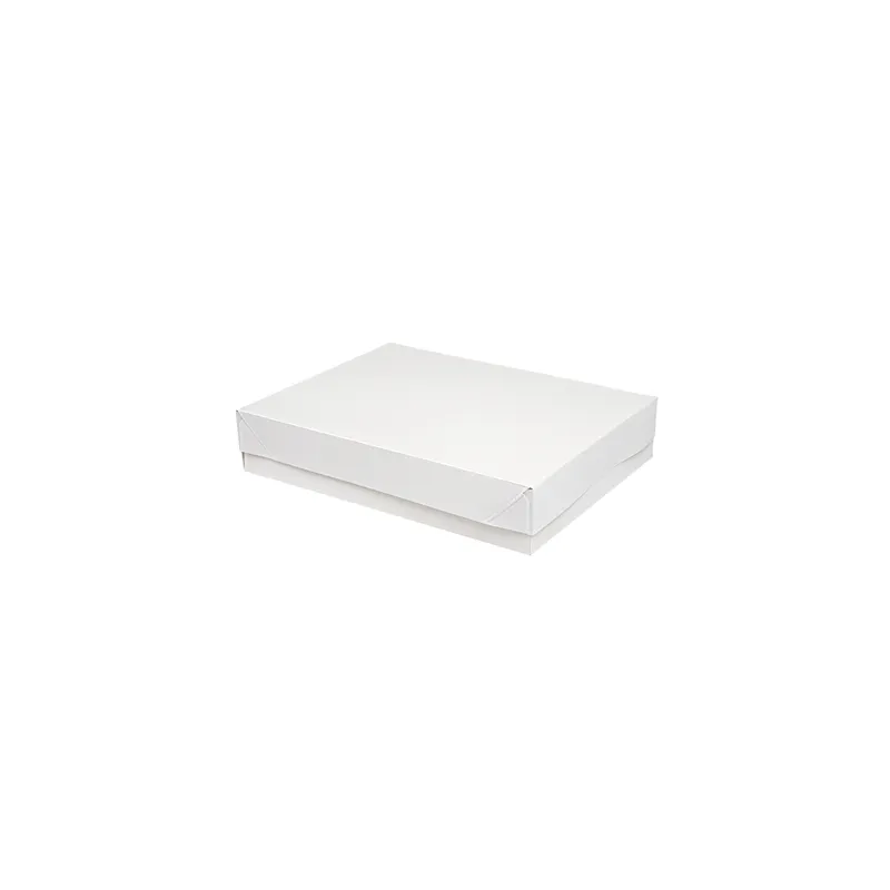PLATEAUX + COUVERCLE THEPACK  23x17x4,5 CM BLANC CARTON NANO-MICRO (200 UNITÉ)