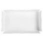 PLATEAUX + COUVERCLE THEPACK 19,5x11x4,5 CM BLANC CARTON NANO-MICRO (200 UNITÉ) PLATEAUX + COUVERCLE