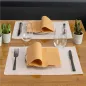 SETS DE TABLE 'MIAMI' 48 G/M2 31x43 CM SAUMON CELLULOSE (2000 UNITÉ) SETS DE TABLE
