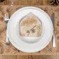 SETS DE TABLE  ECOLOGIQUE