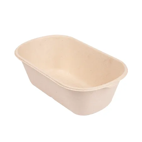 LUNCH BOXES 1 COMPART.