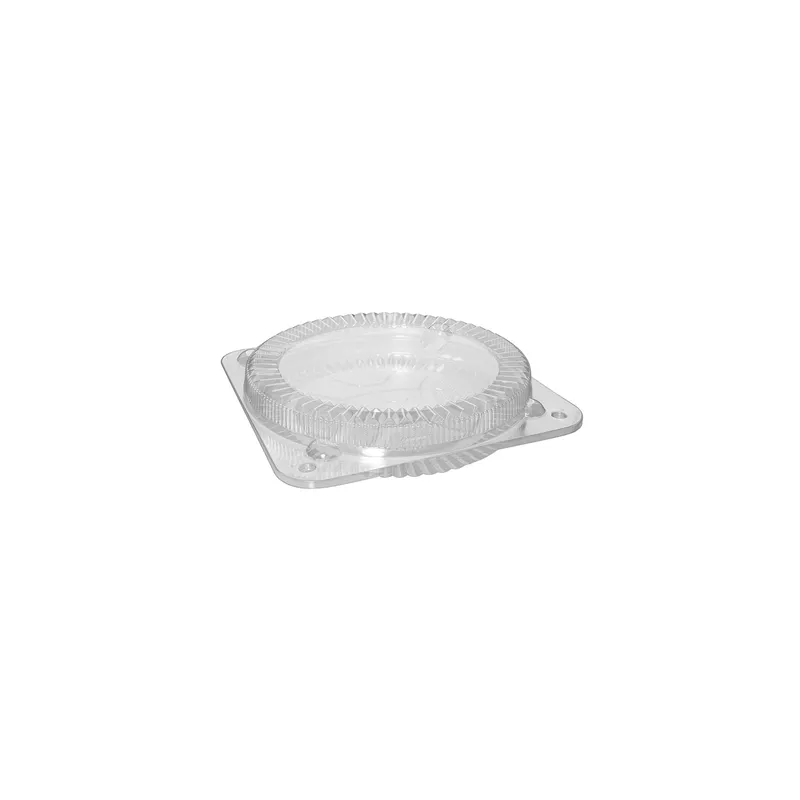 RÉCIPIENTS TARTES ET OMELETTES Ø 26x4 CM TRANSPARENT APET (180 UNITÉ) RÉCIPIENTS TARTES ET OMELETTES Ø 26x4 CM TRANSPARENT APET (180 UNITÉ)