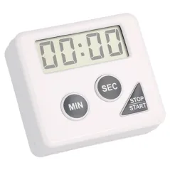 TEMPORISATEUR ÉLECTRIQUE 60'