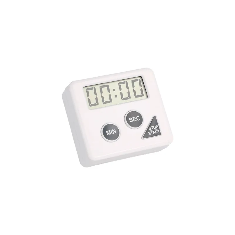 TEMPORISATEUR ÉLECTRIQUE 60'   6x5,5x2 CM BLANC PLASTIQUE (1 UNITÉ)