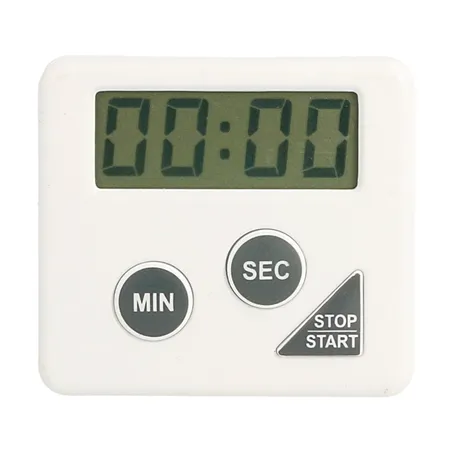 TEMPORISATEUR ÉLECTRIQUE 60'   6x5,5x2 CM BLANC PLASTIQUE (1 UNITÉ)
