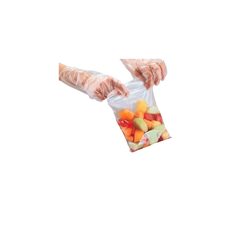 SACS AVEC FERMETURE ZIP  92 G/M2 50µ 27x27 CM TRANSPARENT LDPE (100 UNITÉ)