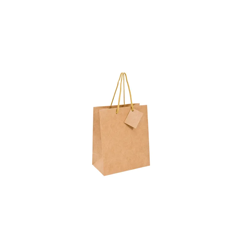 SACS BOUTIQUE ANSES CORDON  120 g/m2 19+10x27 CM NATUREL KRAFT (10 UNITÉ)