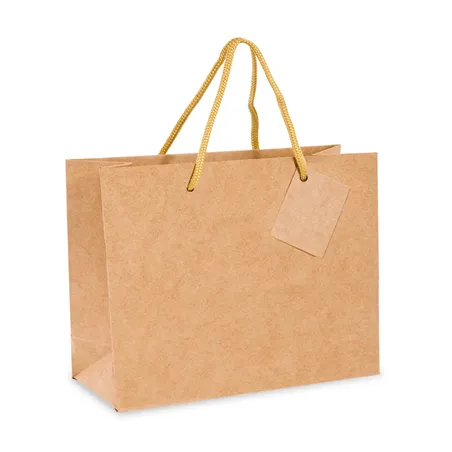 SACS BOUTIQUE ANSES CORDON