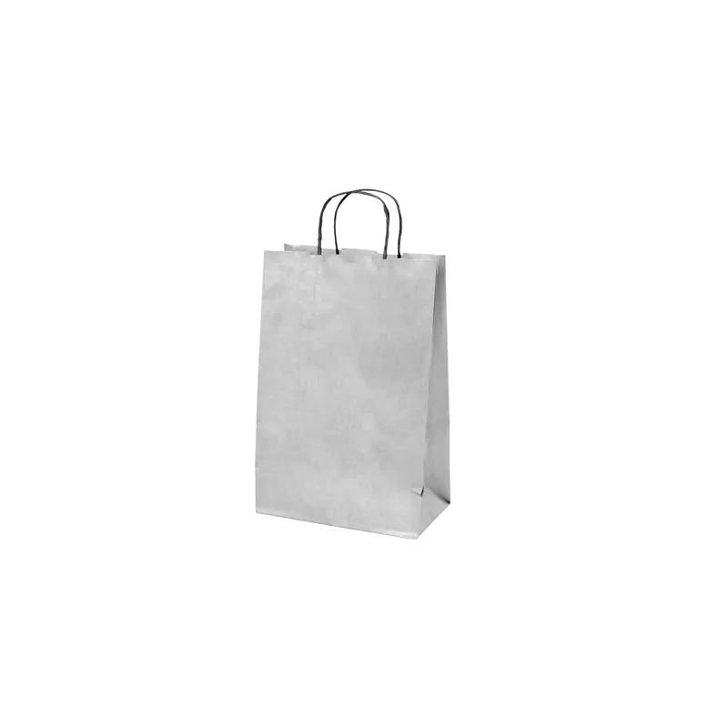 SACS SOS AVEC ANSES 2 BOUTEILLES  100 G/M2 18+10x39 CM ARGENTE KRAFT (250 UNITÉ)