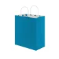 SACS SOS AVEC ANSES - INT. "À POIS" 80 G/M2 20+10x29 CM TURQUOISE CELLULOSE (250 UNITÉ) SACS SOS AVEC ANSES - INT. "À POIS"