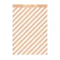 SACHETS PLATS RAYURES