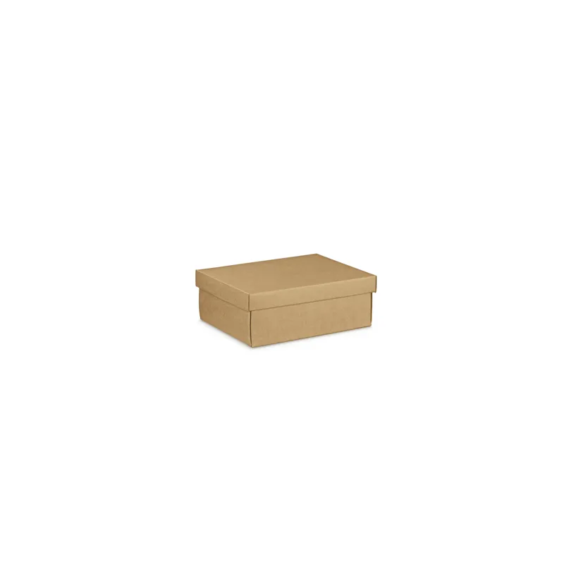 30 U. BOÎTES RECTANGULAIRES 24x20x9,5 CM NATUREL KRAFT (1 UNITÉ) 30 U. BOÎTES RECTANGULAIRES 24x20x9,5 CM NATUREL KRAFT (1 UNITÉ)