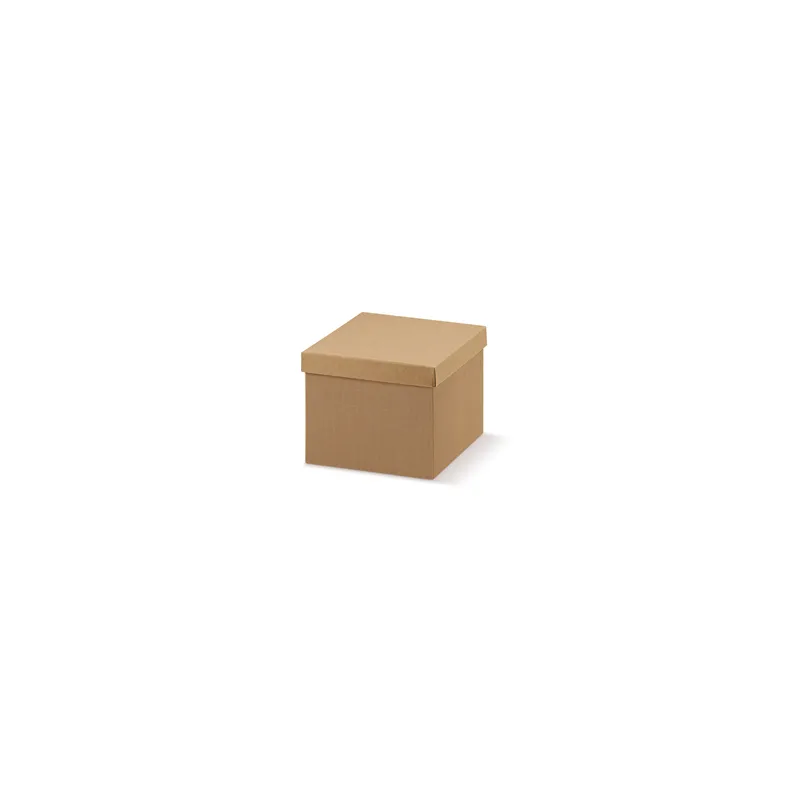 20 U. BOÎTES 24x17x10 CM NATUREL KRAFT (1 UNITÉ) 20 U. BOÎTES 24x17x10 CM NATUREL KRAFT (1 UNITÉ)