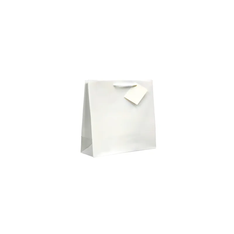 SACS BOUTIQUE ANSES CORDON 19+10x27 CM BLANC CELLULOSE (100 UNITÉ) SACS BOUTIQUE ANSES CORDON 19+10x27 CM BLANC CELLULOSE (100 UNITÉ)