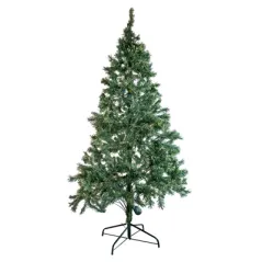 SAPIN