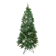 SAPIN