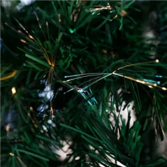 SAPIN