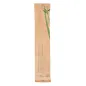 LONGUES CUILLÈRES EN SACHET FEEL GREEN 21 CM BLANC CPLA (500 UNITÉ) LONGUES CUILLÈRES EN SACHET