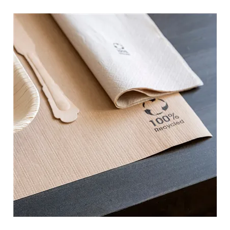SETS DE TABLE FEEL GREEN  80 G/M2 31x43 CM NATUREL PAPIER RECYCLÉ (1000 UNITÉ)