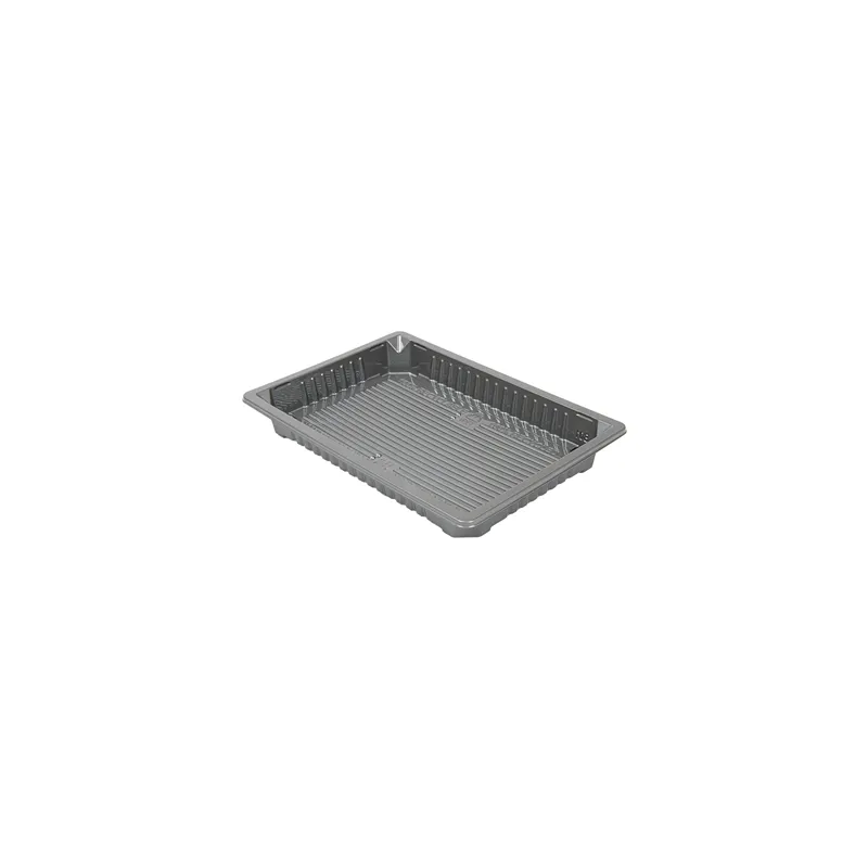 RÉCIPIENTS POUR "SUSHI"  244 ML 16,6x11,5x2 CM ARGENTE RPET (312 UNITÉ)