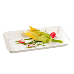 Assiette Kanopée pulpe de canne 200x100 mm