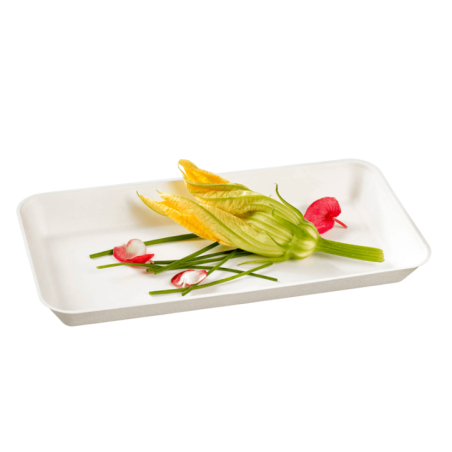 Assiette Kanopée pulpe de canne 200x100 mm