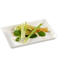 Assiette Quartz pulpe de canne avec lamination 160x100 mm