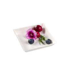 Assiette Quartz pulpe de canne avec lamination 90x90 mm