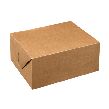 Boîte Postal Lunch 260x205x113 mm