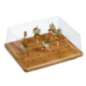 Planche pour 25 brochettes bambou 250x200 mm