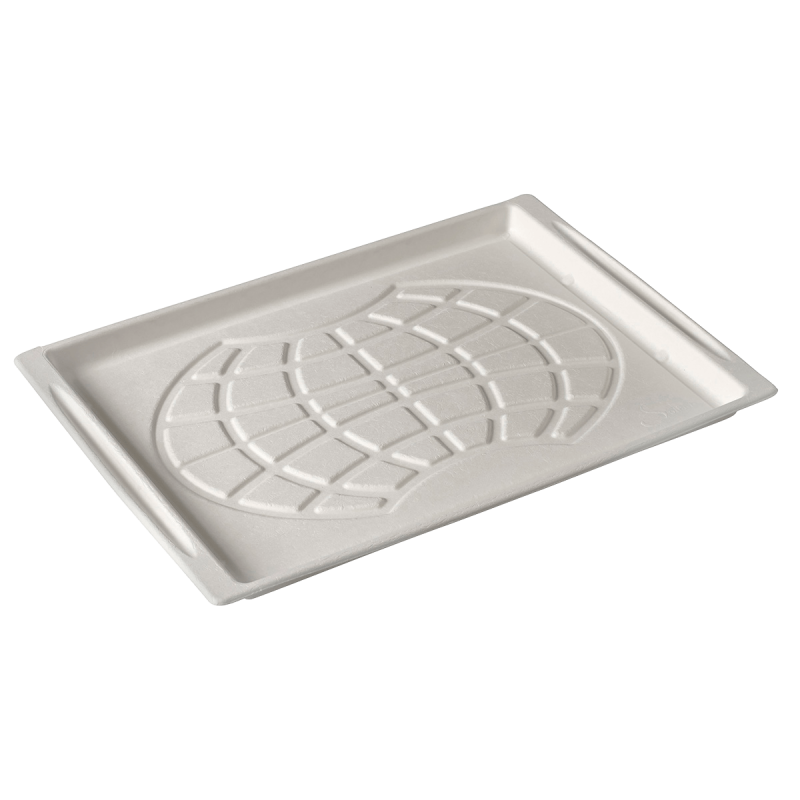 Plateau Mappemonde (Atlas 1/1) 382x273x20 mm