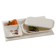 Plateau pulpe de canne (Atlas 1/2)