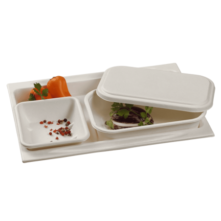 Plateau pulpe de canne (Atlas 1/2)