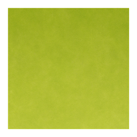 "TÊTE-À-TÊTE" PRÉ. 120 CM (40 FEU.) 'SPUNBOND' 60 G/M2 0,40x48 M LIME PP (6 UNITÉ)