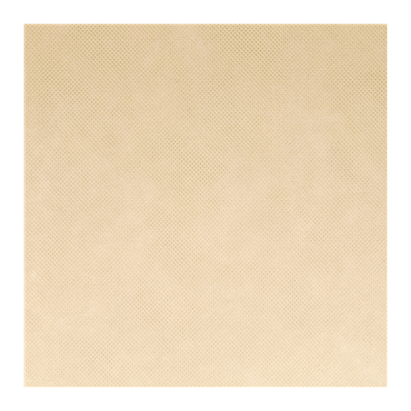 NAPPE 'SPUNBOND' 60 G/M2 1,20x50 M CREME PP (1 UNITÉ)